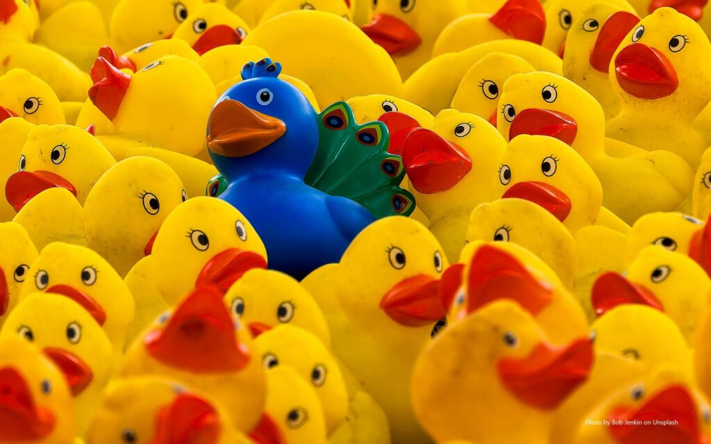 One blue duck standing out in a group of yellow ducks